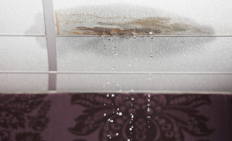 Plumber Williamstown